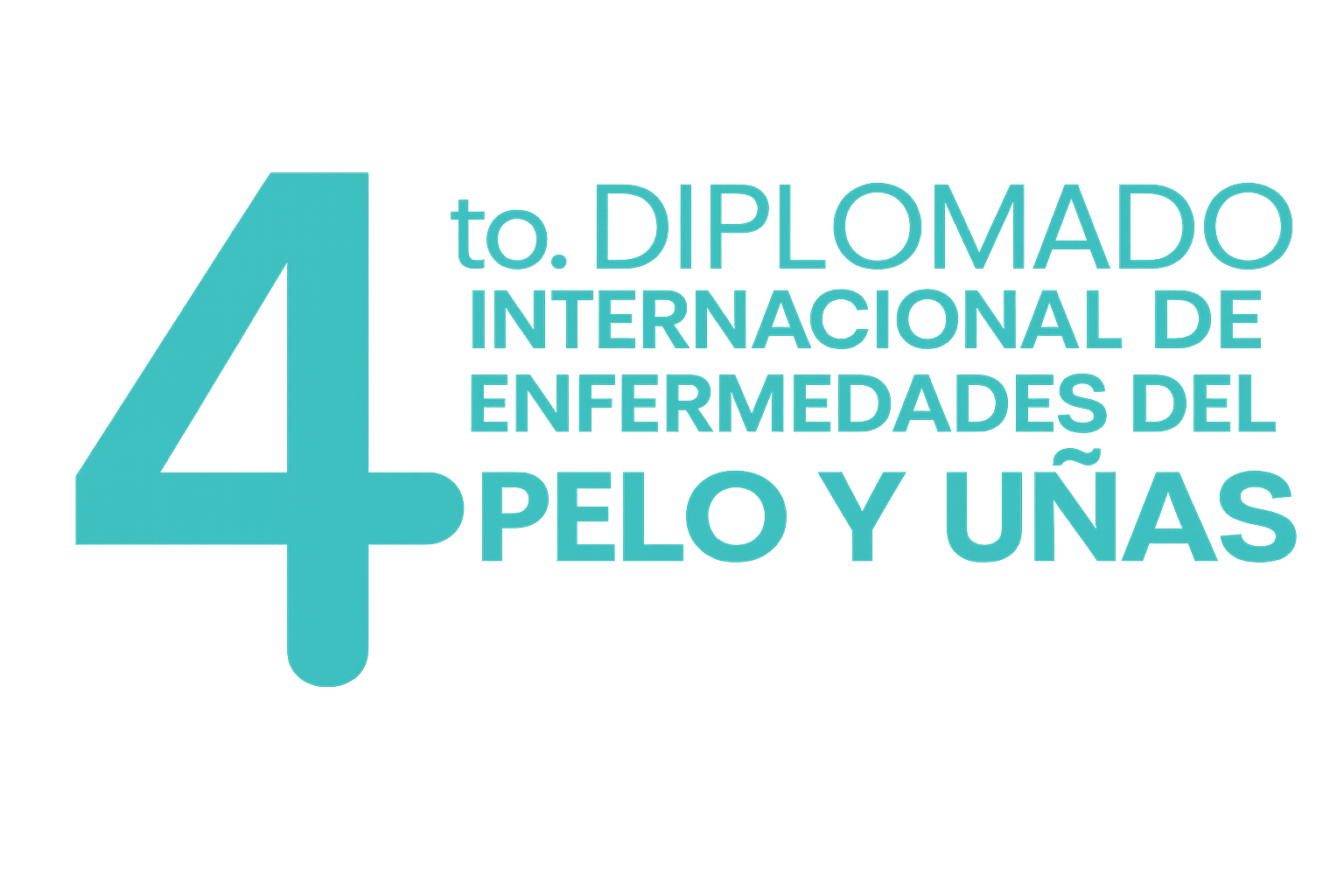 Diplomado Internacinal